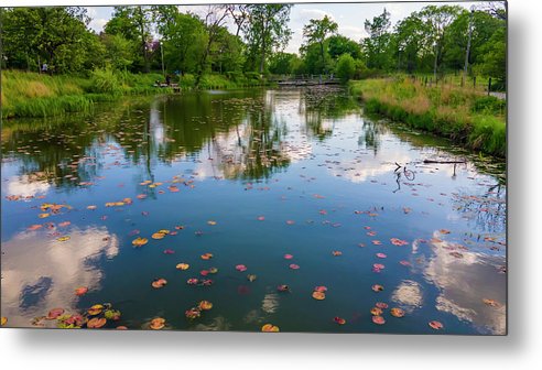 Chicago nature - Metal Print
