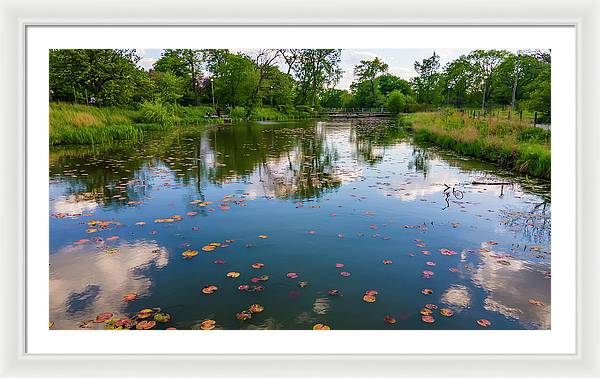 Chicago nature - Framed Print