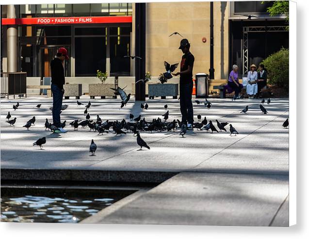 Boy One With Nature In The City Of Chicago - Canvas Print