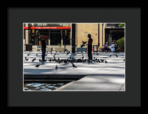 Boy One With Nature In The City Of Chicago - Framed Print