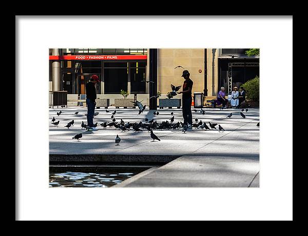 Boy One With Nature In The City Of Chicago - Framed Print