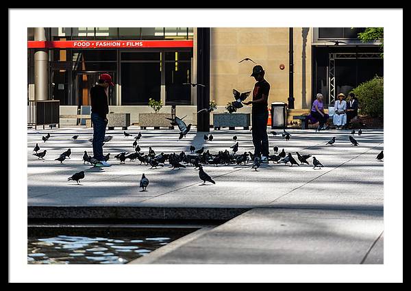 Boy One With Nature In The City Of Chicago - Framed Print