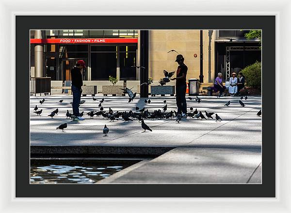 Boy One With Nature In The City Of Chicago - Framed Print