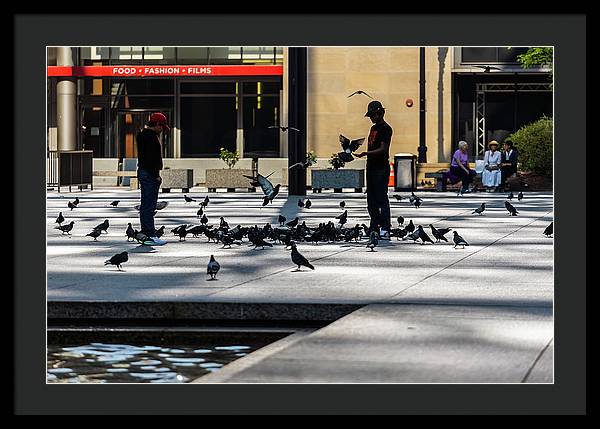 Boy One With Nature In The City Of Chicago - Framed Print