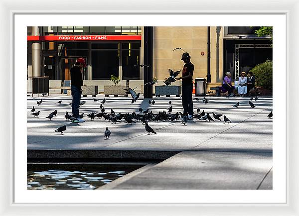 Boy One With Nature In The City Of Chicago - Framed Print