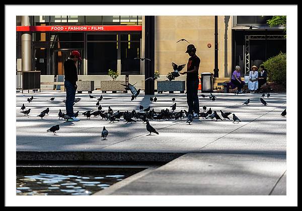 Boy One With Nature In The City Of Chicago - Framed Print