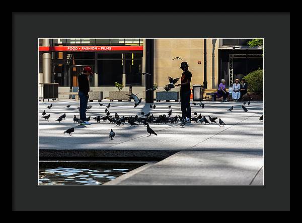 Boy One With Nature In The City Of Chicago - Framed Print