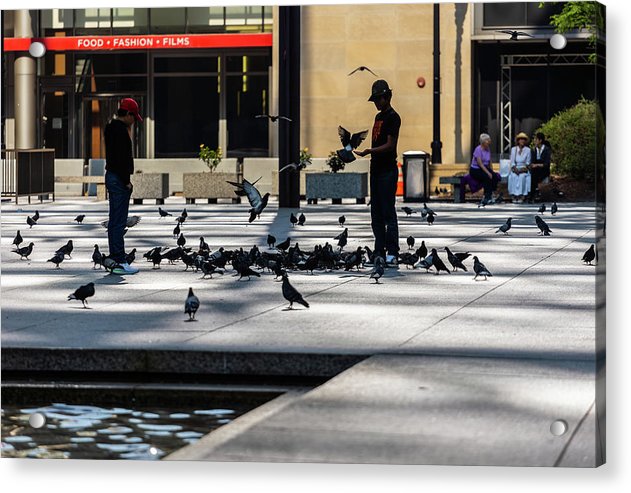 Boy One With Nature In The City Of Chicago - Acrylic Print