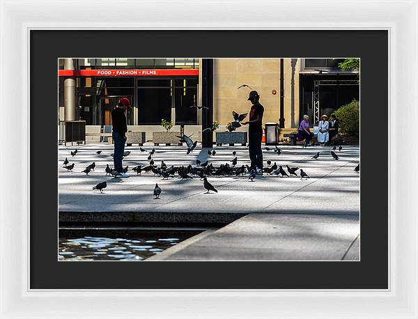 Boy One With Nature In The City Of Chicago - Framed Print