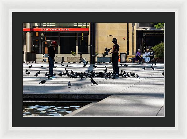 Boy One With Nature In The City Of Chicago - Framed Print