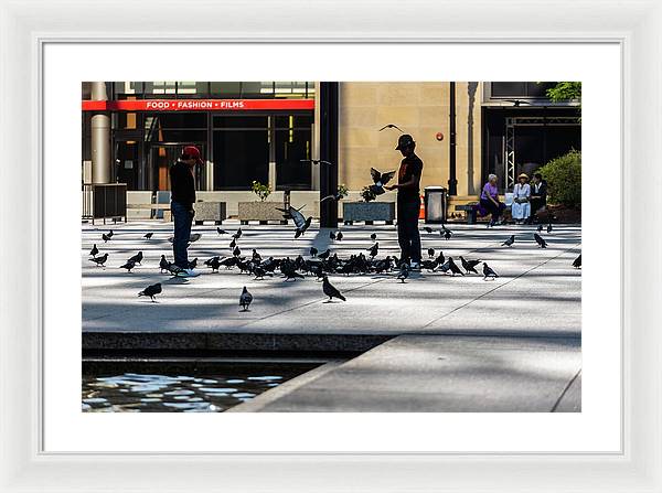 Boy One With Nature In The City Of Chicago - Framed Print