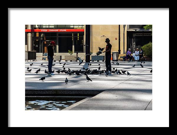 Boy One With Nature In The City Of Chicago - Framed Print