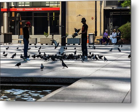 Boy One With Nature In The City Of Chicago - Metal Print