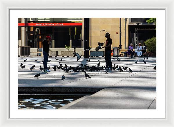 Boy One With Nature In The City Of Chicago - Framed Print