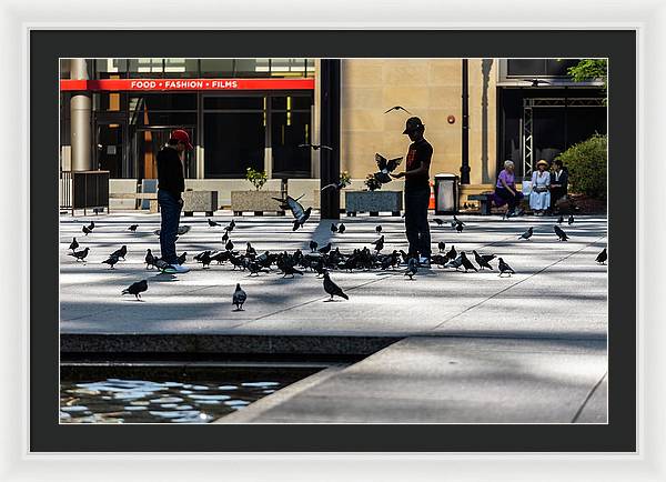 Boy One With Nature In The City Of Chicago - Framed Print