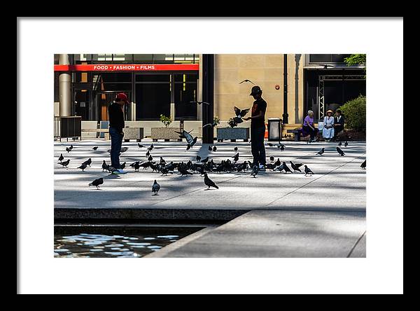 Boy One With Nature In The City Of Chicago - Framed Print