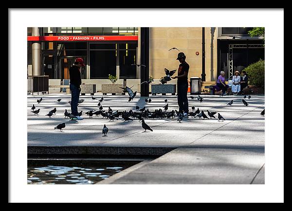 Boy One With Nature In The City Of Chicago - Framed Print