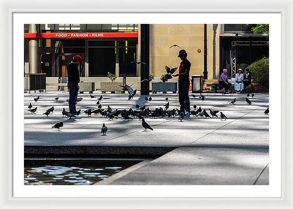 Boy One With Nature In The City Of Chicago - Framed Print