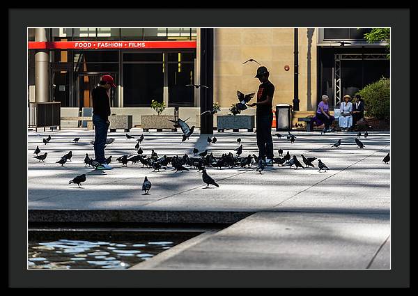 Boy One With Nature In The City Of Chicago - Framed Print