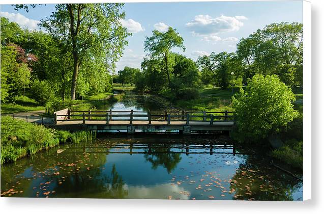 Chicago nature 2 - Canvas Print