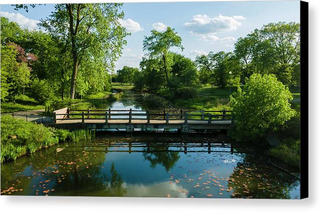 Chicago nature 2 - Canvas Print