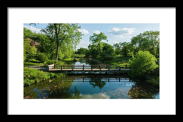 Chicago nature 2 - Framed Print