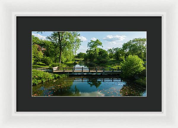 Chicago nature 2 - Framed Print