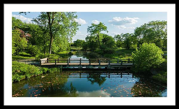 Chicago nature 2 - Framed Print