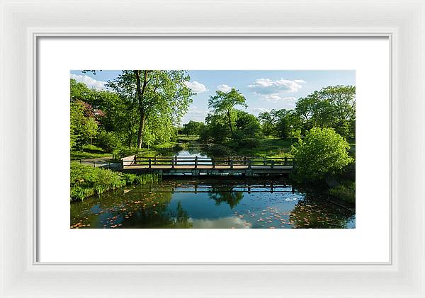 Chicago nature 2 - Framed Print