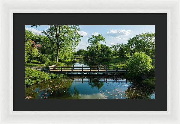 Chicago nature 2 - Framed Print