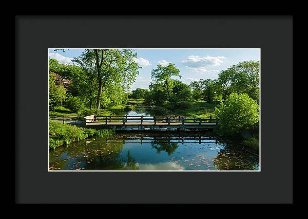 Chicago nature 2 - Framed Print