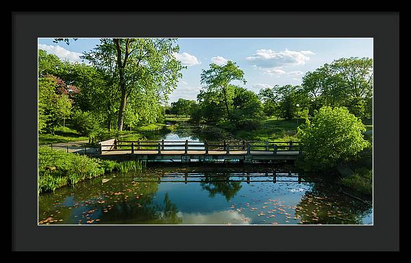 Chicago nature 2 - Framed Print