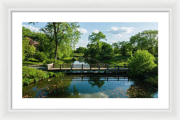 Chicago nature 2 - Framed Print