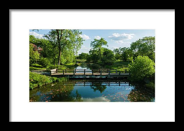 Chicago nature 2 - Framed Print