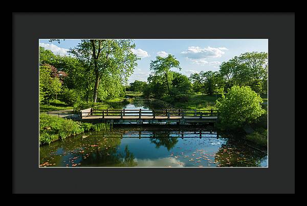 Chicago nature 2 - Framed Print