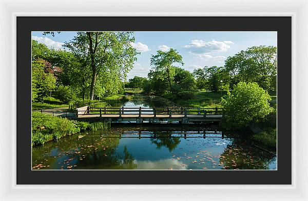 Chicago nature 2 - Framed Print