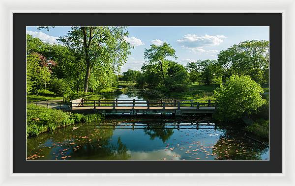 Chicago nature 2 - Framed Print