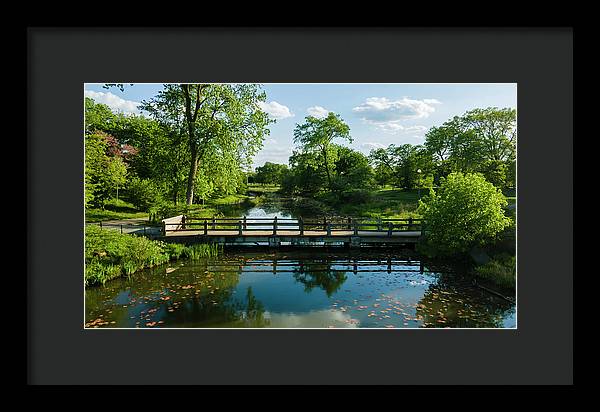 Chicago nature 2 - Framed Print