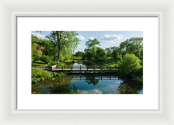 Chicago nature 2 - Framed Print