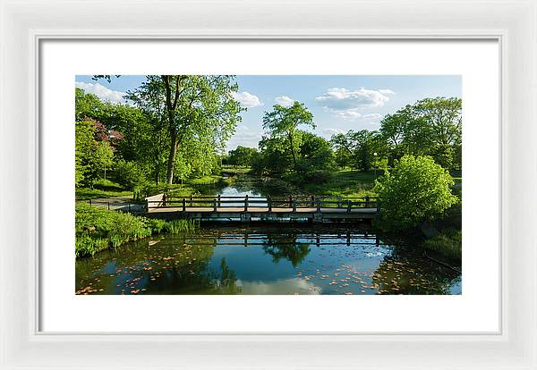 Chicago nature 2 - Framed Print