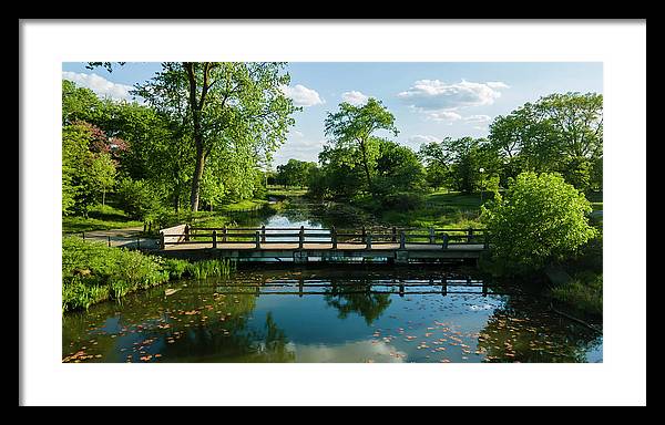 Chicago nature 2 - Framed Print