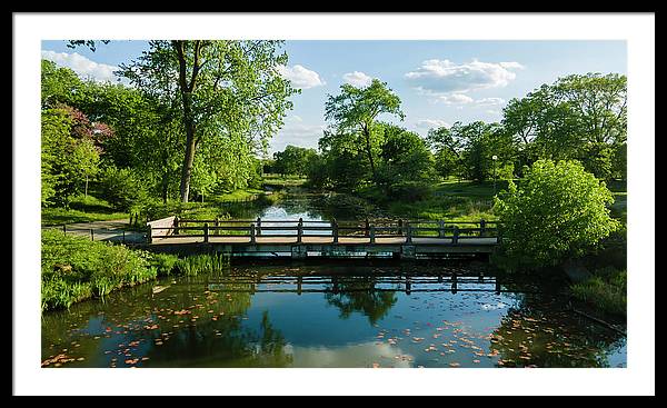 Chicago nature 2 - Framed Print