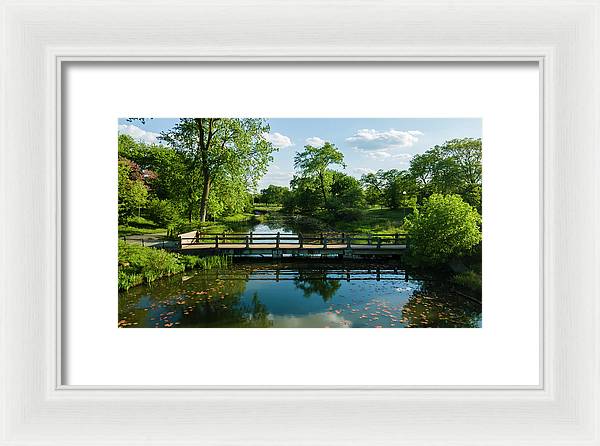 Chicago nature 2 - Framed Print