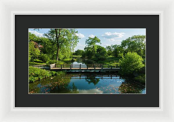 Chicago nature 2 - Framed Print