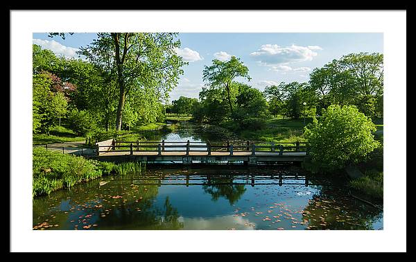 Chicago nature 2 - Framed Print