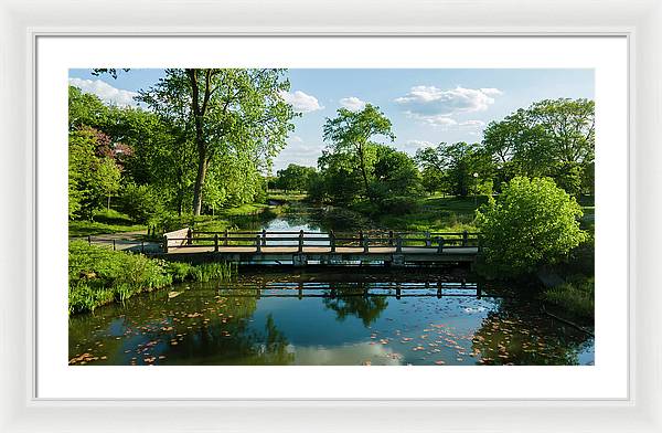 Chicago nature 2 - Framed Print