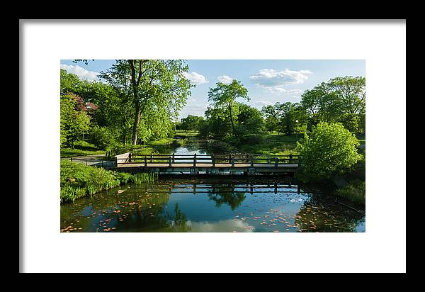 Chicago nature 2 - Framed Print