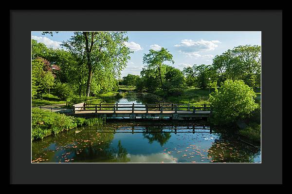 Chicago nature 2 - Framed Print