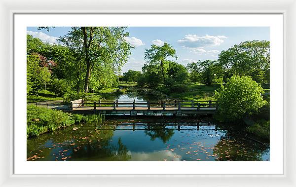 Chicago nature 2 - Framed Print