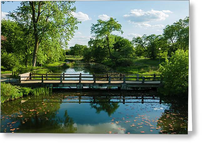 Chicago nature 2 - Greeting Card